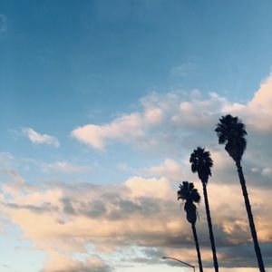 Meet your Posher, Elyana